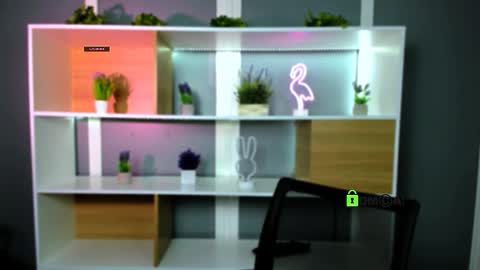 veldi_to online show from 2, 2, 2026