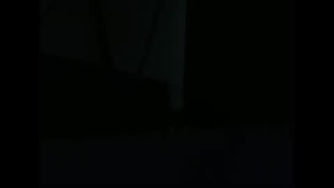 Snapshot of vendi1 chatting on 28, 12, 2024 vendi1 online show from 28, 12, 2024