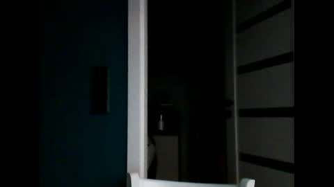 Snapshot of vendi1 chatting on 26, 11, 2025 vendi1 online show from 26, 11, 2025