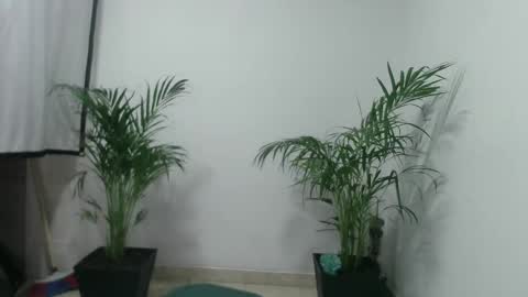 vennus6969 online show from 5, 3, 2025