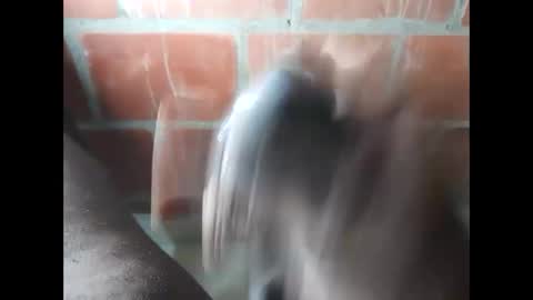 ver_gonblack online show from 25, 9, 2025