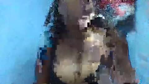 Snapshot of verolla31 chatting on 2, 2, 2025 verolla31 online show from 2, 2, 2025