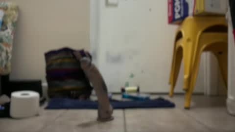 Hmartinez365 online show from 22, 9, 2025