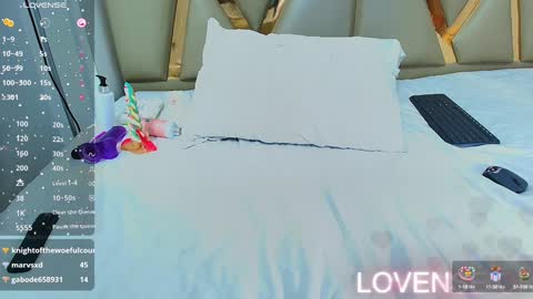 Snapshot of veronica_roose chatting on 29, 12, 2024 Veronica online show from 29, 12, 2024