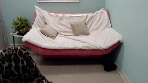 Helen online show from 12, 3, 2025