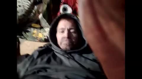 Vex online show from 25, 12, 2024