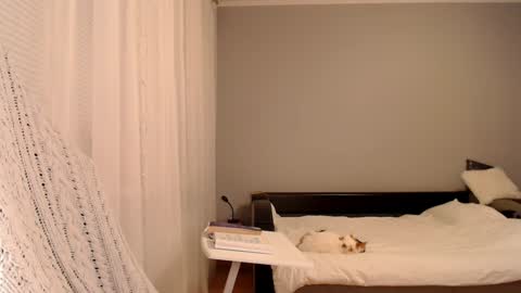 Snapshot of vibezgirl chatting on 5, 2, 2025 Amelia online show from 5, 2, 2025