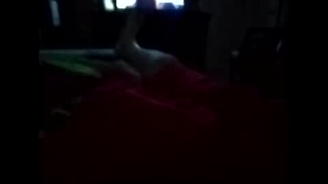 Snapshot of viciouzz1 chatting on 11, 11, 2025 viciouzz1 online show from 11, 11, 2025