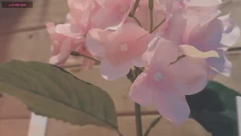 Snapshot of vickyvalencia2 chatting on 19, 7, 2026 vickyvalencia2 online show from 19, 7, 2026