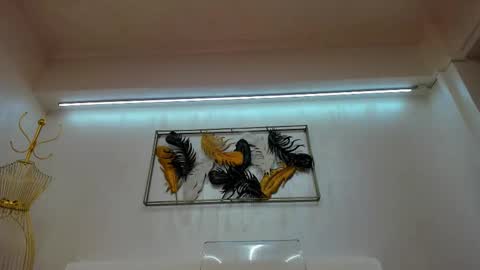 Snapshot of vikafever chatting on 10, 11, 2025 vikafever online show from 10, 11, 2025