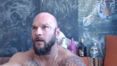 viking online show from 14, 9, 2025