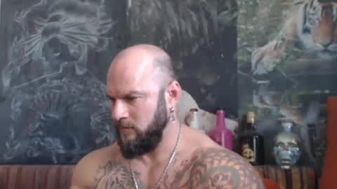 viking online show from 22, 10, 2025