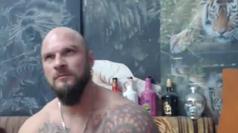 viking online show from 5, 11, 2025