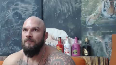 viking online show from 28, 11, 2025