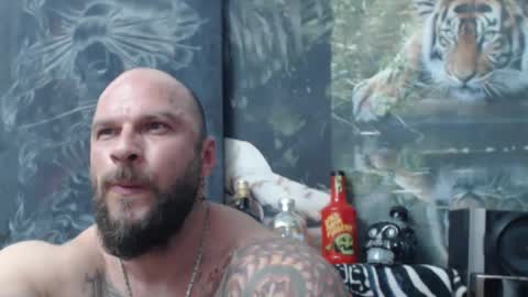 viking online show from 16, 4, 2026