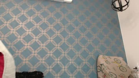 Violeta  online show from 6, 12, 2024