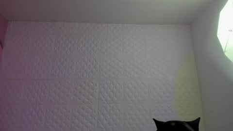 Snapshot of violeta_diazz chatting on 4, 5, 2026 online show from 4, 5, 2026