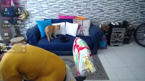 Violeta Gmez online show from 1, 4, 2026