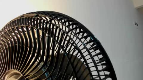 Snapshot of violetrose_as chatting on 5, 1, 2026 Violet Rose online show from 5, 1, 2026