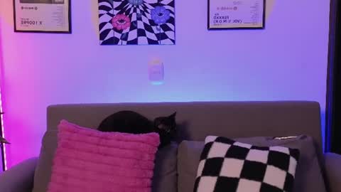 Snapshot of violettgrey_ chatting on 26, 6, 2026 Violet online show from 26, 6, 2026