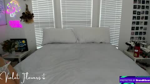 Violet Flowers online show from 8, 4, 2026