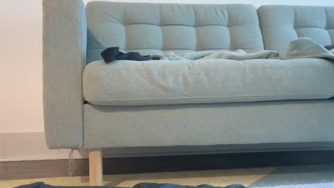 Pachinko De Gallo online show from 24, 3, 2026