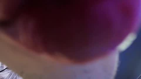    new acount online show from 29, 5, 2026
