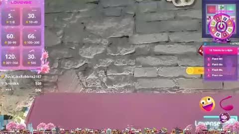 Snapshot of vixvixenn chatting on 25, 6, 2026 ANA online show from 25, 6, 2026