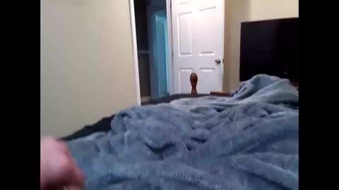 vladedivac1998 online show from 31, 3, 2026