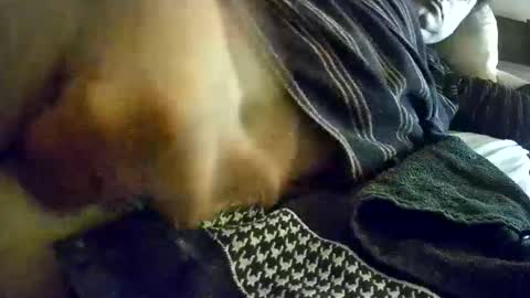 vleeslollie2024 online show from 13, 1, 2025