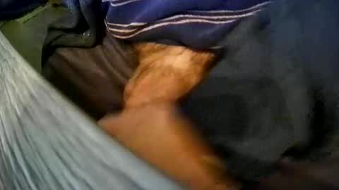 vleeslollie2024 online show from 5, 4, 2026