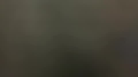 voodoowonderful online show from 16, 11, 2025