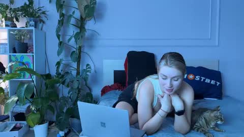 vorvik online show from 8, 1, 2025