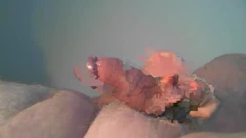 vukavuka99 online show from 26, 10, 2025