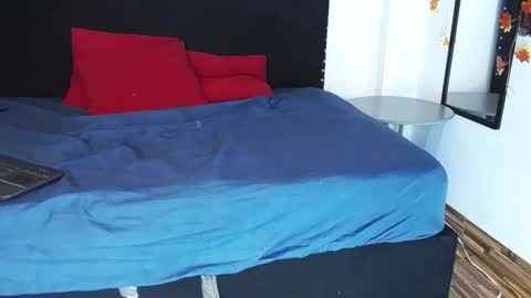 Snapshot of vwildcatper chatting on 28, 10, 2025 wild cat  online show from 28, 10, 2025