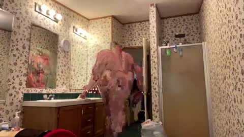 wadd4u1 online show from 5, 10, 2025