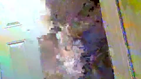 Snapshot of waltbkk chatting on 9, 12, 2024 Walter online show from 9, 12, 2024