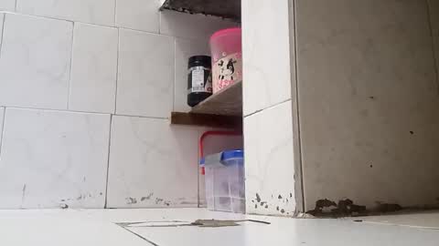 Snapshot of waltherfeet_ chatting on 2, 1, 2025 WaltherFeet online show from 2, 1, 2025