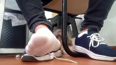 Snapshot of waltherfeet_ chatting on 8, 9, 2025 WaltherFeet online show from 8, 9, 2025