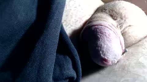 wants online show from 6, 11, 2025