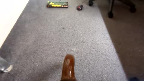 waterd4wg online show from 19, 4, 2026