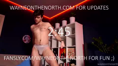 Snapshot of waynenorth chatting on 21, 2, 2026 waynenorth online show from 21, 2, 2026