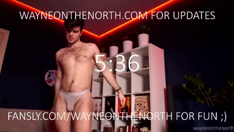 Snapshot of waynenorth chatting on 26, 3, 2026 waynenorth online show from 26, 3, 2026