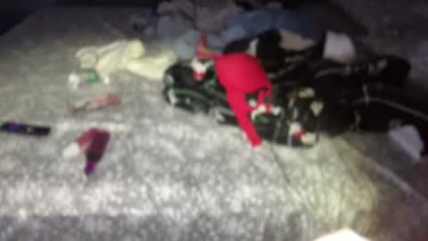 Snapshot of wedifferent_ chatting on 1, 11, 2025 wedifferent_ online show from 1, 11, 2025