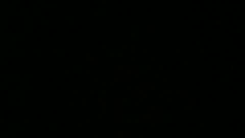 Snapshot of weeskank chatting on 5, 10, 2025 weeskank online show from 5, 10, 2025