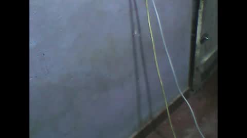 wela123456 online show from 1, 11, 2025