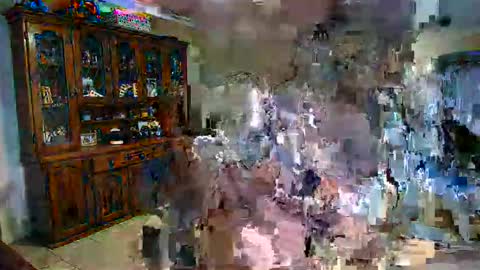 Wellhelloo online show from 24, 2, 2026