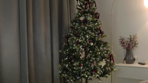 CAREN online show from 8, 1, 2025