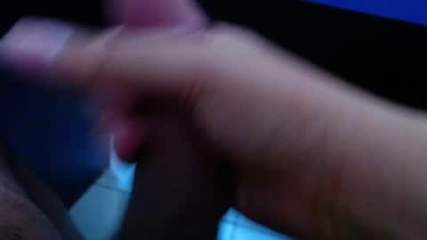 wellingtont online show from 3, 4, 2026