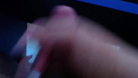 wellingtont online show from 4, 4, 2026